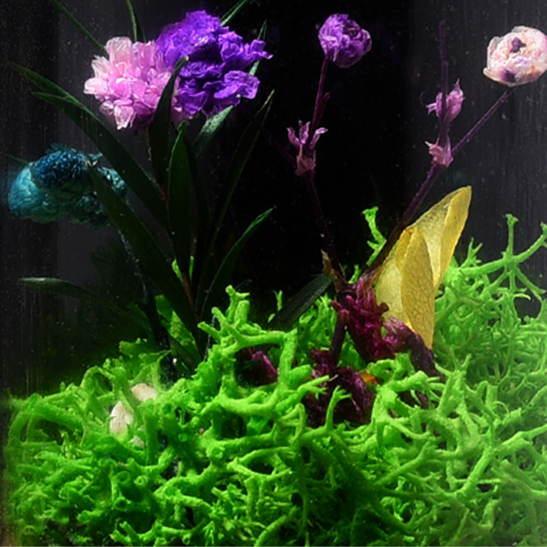 Bloom Barrel (Table Master Piece)