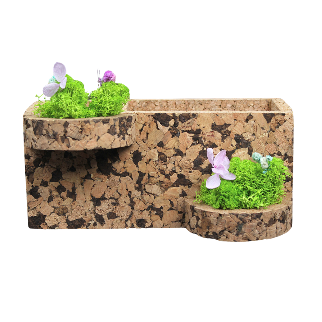 Nature Deck (Desk Organizer)