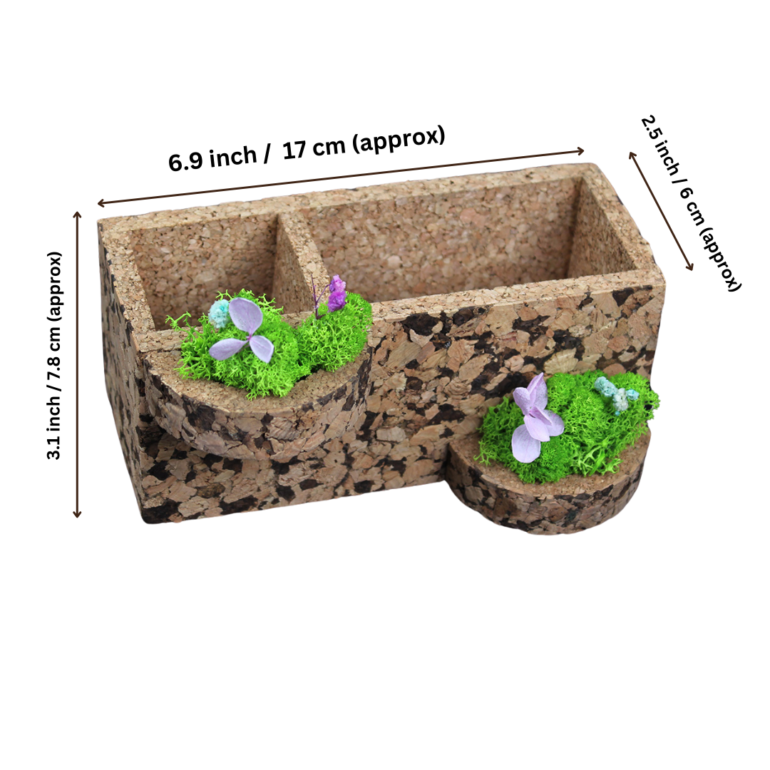Nature Deck (Desk Organizer)