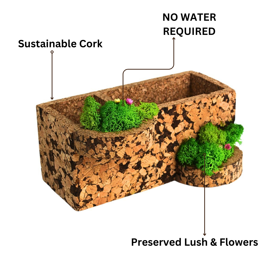 Nature Deck (Desk Organizer)