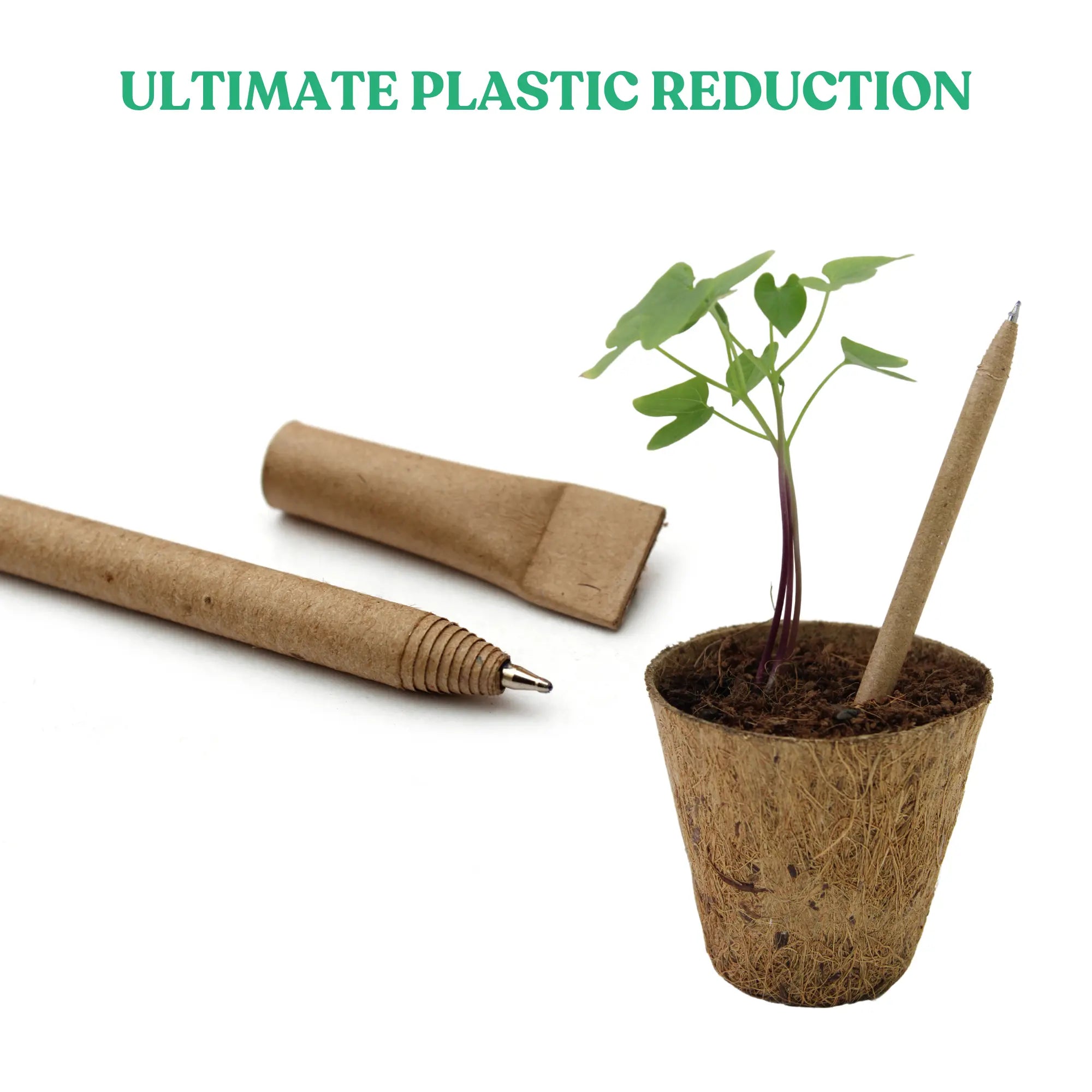 Plantable Seed Pen (Pack of 20)