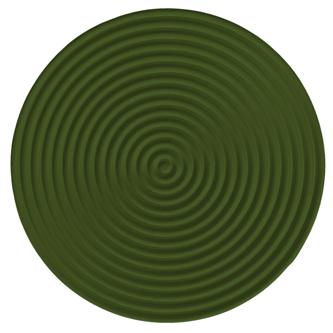 Olive Green Concentric Circle Wall Art